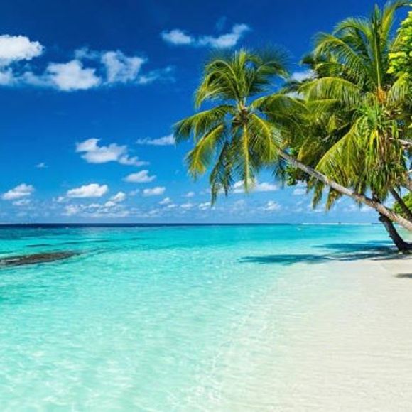 Meet your Posher, Kristin - Picture 1 of 1